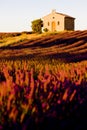 Chapel with lavender field Royalty Free Stock Photo