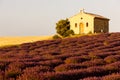 Chapel with lavender field Royalty Free Stock Photo