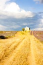 chapel with lavender field, Plateau de Valensole, Provence, Fran Royalty Free Stock Photo