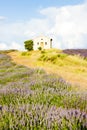 chapel with lavender field, Plateau de Valensole, Provence, Fran Royalty Free Stock Photo