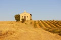 chapel with lavender field, Plateau de Valensole, Provence, France Royalty Free Stock Photo