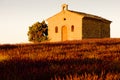 chapel with lavender field, Plateau de Valensole, Provence, Fran Royalty Free Stock Photo