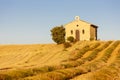 chapel with lavender field, Plateau de Valensole, Provence, France Royalty Free Stock Photo