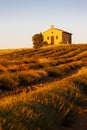 chapel with lavender field, Plateau de Valensole, Provence, France Royalty Free Stock Photo