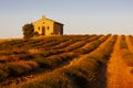 chapel with lavender field, Plateau de Valensole, Provence, France Royalty Free Stock Photo