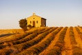 chapel with lavender field, Plateau de Valensole, Provence, France Royalty Free Stock Photo