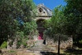 Chapel and olive tree in the Alpilles (Provence, France)