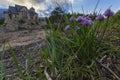 Chapel on the Rock, Allenspark Colorado Royalty Free Stock Photo