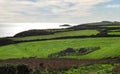 Chapel Ruin of St Non, Pembrokeshire Coast