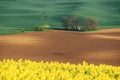 The chapel of st. Barbara on Moravian fields during spring time Royalty Free Stock Photo