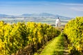 Chapel with vineyard near Velke Bilovice