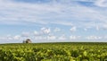 Chapel in vinyard Saint-Estephe Royalty Free Stock Photo