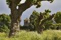 Chapelle Notre Dame Bognols-en-foret France