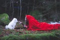 CHAPERON ROUGE CAPE SAMOYED PUPPY