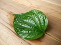 Chaplu leaf Royalty Free Stock Photo