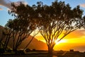 Chapman`s Peak overlook Royalty Free Stock Photo