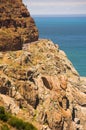 Chapmans Peak Royalty Free Stock Photo