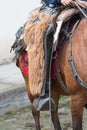 Chaps worn by the Andean cowboys