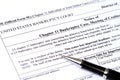 Chapter 11 Bankruptcy application