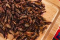 Chapulines, grasshoppers snack traditional Mexican cuisine from Oaxaca mexico Royalty Free Stock Photo