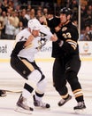 Chara and Mike Rupp fight.