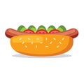 Hot dog isolated vector illustration