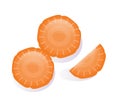 carrot slices isolated vector illustration