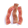 bacon fried isolated vector illustration