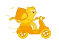 Character cat delivery service. Pet mascot. On a motorbike. Vector illustration. Ginger cat. Pizza and food delivery.