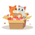 The character of couple love of cute cat in the box and play a heart on the white background. The character of cute cat with heart