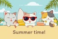 The character of cute cat with friends in the beach party for summer time. The cute cat holding an ice cream and coconut and wear