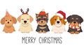 The character of cute dog wear a christmas costume in flat vector style