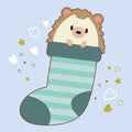 The character of cute hedgehog sitting in the big sock with heart and star on the blue background. The cute hedgehog with sock.