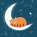 The character of cute red panda sleepping on the half moon with a star. Illustration for banner, sticker and poster for baby rooms