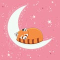 The character of cute red panda sleepping on the half moon with a star. Illustration for banner, sticker and poster for baby rooms