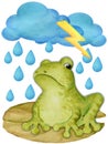 The character is a disgruntled, offended frog, a toad sitting in the rain with a thunderstorm and lightning