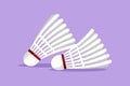 Character flat drawing stylized badminton shuttlecock logo, label, symbol. Macro of a feather shuttlecock. Badminton accessories