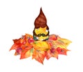 Character gnome on bunch of yellow, red autumn leaves. Design for seasonal card. Natural drawing magic scandinavian