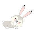 character grey sleepy Bunny