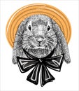 The character is a rabbit in a straw summer hat with black silk ties. Royalty Free Stock Photo