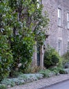 Characterful historic houses in the rural Somerset village of Mells, UK.