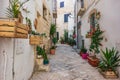 Alleyway. Polignano a mare. Puglia. Italy