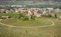 Characteristic circular vineyard in the South Tyrol, Egna, Bolzano, Italy on the wine road.