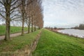 Characteristic Dutch polder landscape