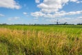 Characteristic Dutch polder landscape with windmills