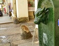 The characteristic fountain of drinking water