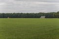 Characteristic half-open farmlands in the Netherlands