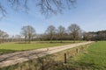 Characteristic half-open farmlands in the Netherlands