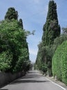 Characteristic Long Road of the Medieval Village of Bolgheri in Tuscany surrounded by Cypresses - Italy