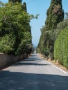 Characteristic Long Road of the Medieval Village of Bolgheri in Tuscany surrounded by Cypresses - Italy